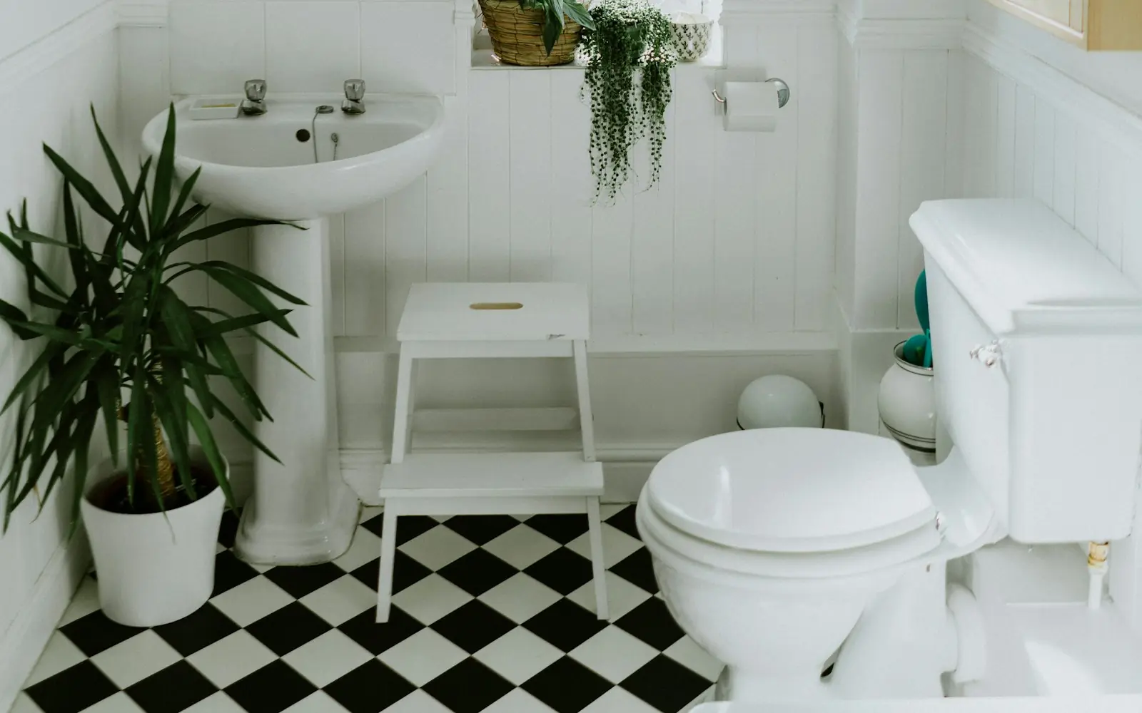 Bright bathroom with plants and a window