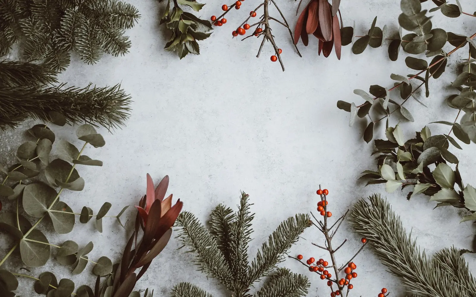 Flat lay of evergreen and eucalyptus sprigs with red berries