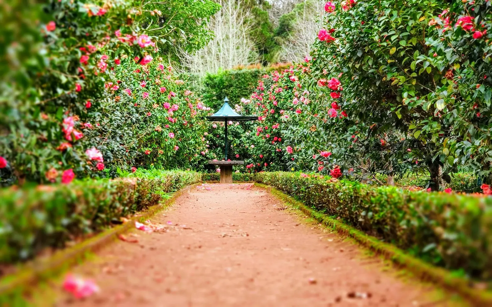 Garden & Outdoors